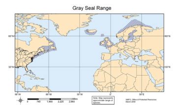 About - The Grey Seal