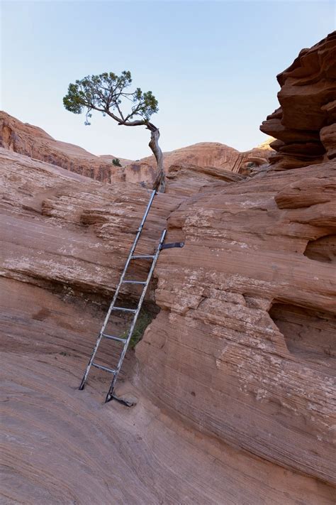 How to Hike the Corona Arch Trail in Moab – Bearfoot Theory