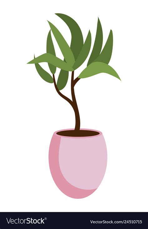 House plant cartoon Royalty Free Vector Image - VectorStock