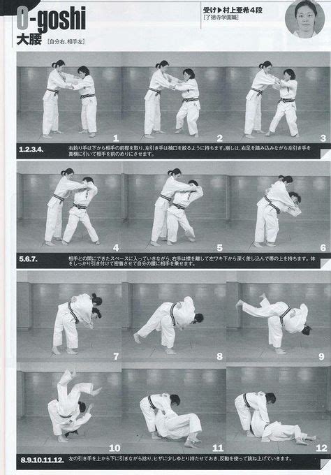 9 Japanese jiu jitsu ideas | jiu jitsu, martial arts techniques, judo