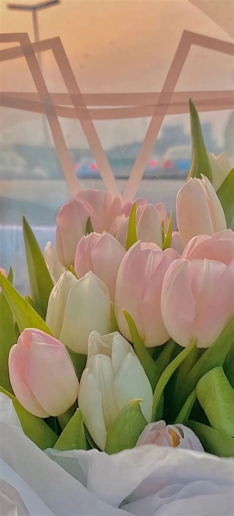Beautiful Bouquet of Pink Tulips