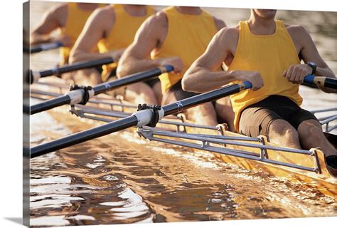 Crew team rowing a scull Wall Art, Canvas Prints, Framed Prints, Wall Peels | Great Big Canvas