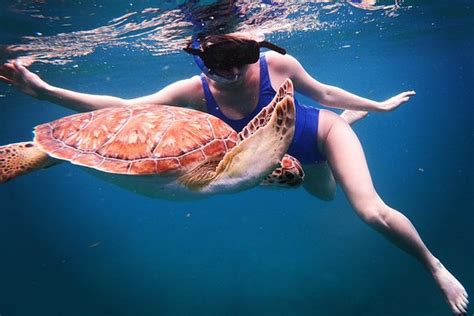 TripAdvisor | The best snorkeling tour with complimentary photos ...