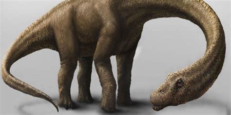 'Dreadnoughtus' Was One Huge Dinosaur, But Maybe Not As Huge As We ...