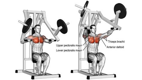 10 Best Upper Chest Exercises for Mass and strength