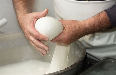 Mozzarella Cheese | How It’s Made | FoodUnfolded