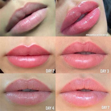 Permanent Makeup Lips Healing