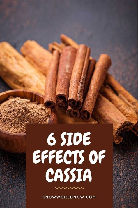 Cassia Cinnamon Side Effects- All You Need to Know | Know World Now in ...