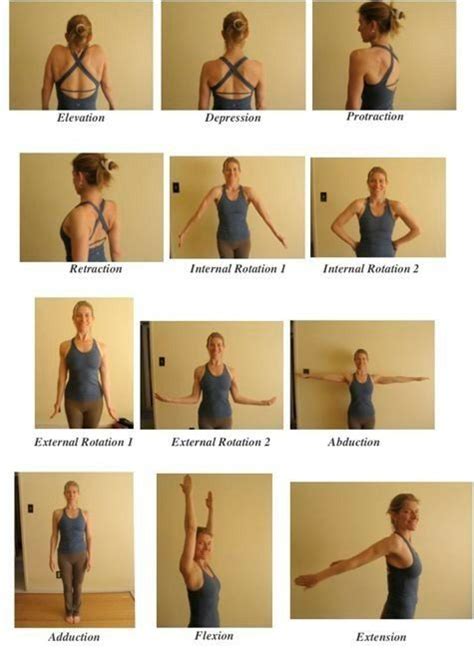 Pin by BadAssGaines on Physical Therapy | Collar bone workout, Shoulder ...