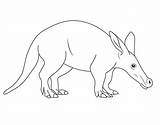 Simple Aardvark Coloring Page  Free Printable Pages For Kids sketch template