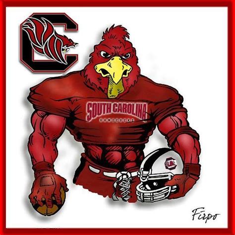 Pin by Roger Hansen on South Carolina Gamecocks | Carolina gamecocks football, Gamecocks, Usc ...