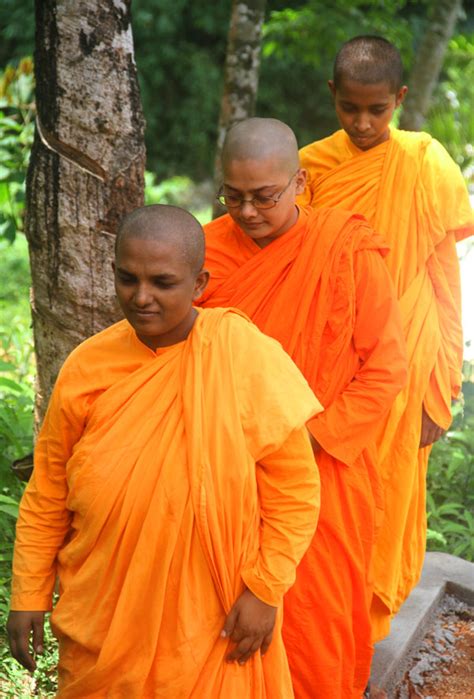 Pilisarana – the Bhikkhunis’ haven - Opinion | Daily Mirror