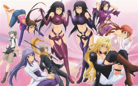 DubSub - Anime Reviews: Sekirei Anime Review