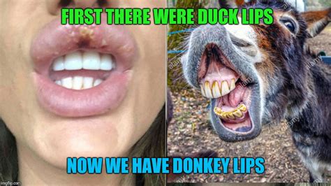 Duck Lips Cat Meme | Sitelip.org