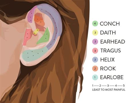 Ear Piercing Guide Chart