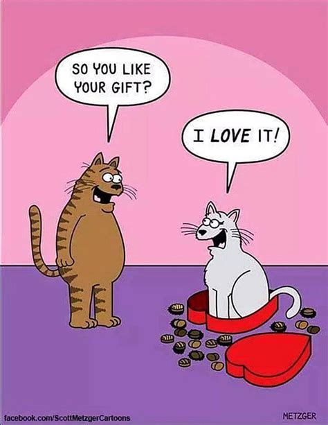 Hilarious Cat Comics