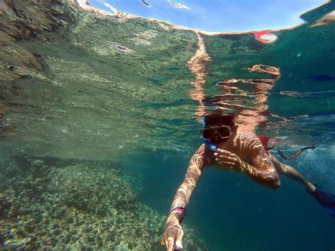 Puerto Vallarta Snorkeling Immerses Swimmers in a Paradise