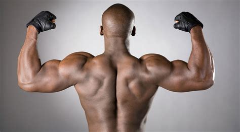 Lower Back Muscles Bodybuilding : 15 Back Exercises To Strengthen Muscles And Prevent Injury