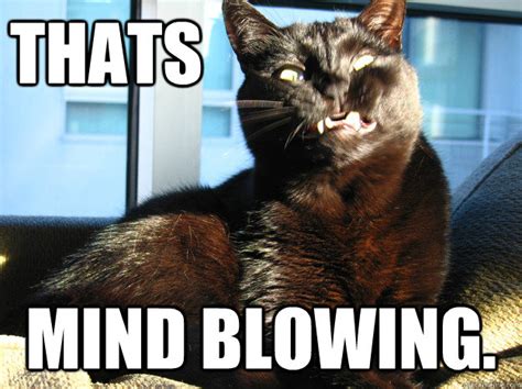 Mind Blown Cat memes | quickmeme