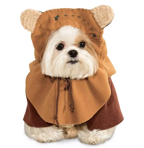 A Wig For Your Dog?! Adorably Funny Pet Costumes Have Arrived in Disney World! - Disney by Mark