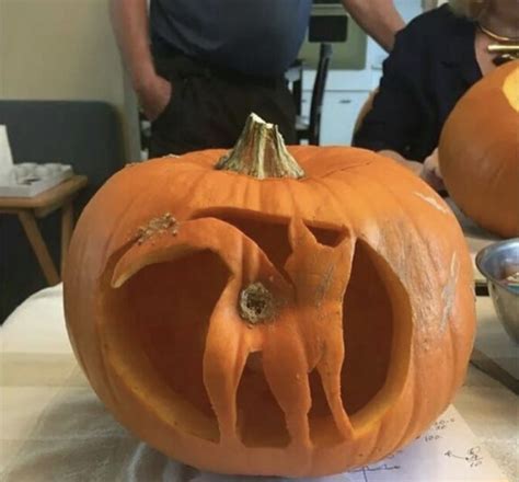 30+ Easy Funny Pumpkin Carving