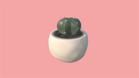 24 Cactus Minimalist - Wallpaperboat