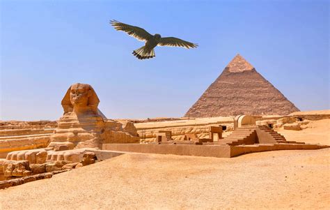 Ancient Egyptians Bred Birds of Prey for Religious Purposes | Sci.News