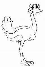 Cartoon Of An Ostrich Coloring Page  Color Luna Sheets sketch template