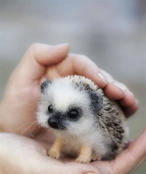 Cute Weird Baby Animals - Animals World