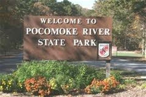 Pocomoke River State Park | Historic Horse Trails - Maryland Equine ...