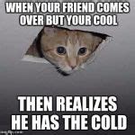 Ceiling Cat Meme Generator - Imgflip