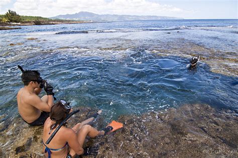 Snorkeling at Pupukea, North Shore, Oahu, Hawaii. Pupukea / Sharks cove great for exploring the ...