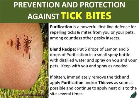 tick bite prevention - Alternative Earthcare