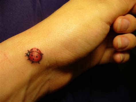 Ladybug Tattoos Designs, Ideas and Meaning - Tattoos For You