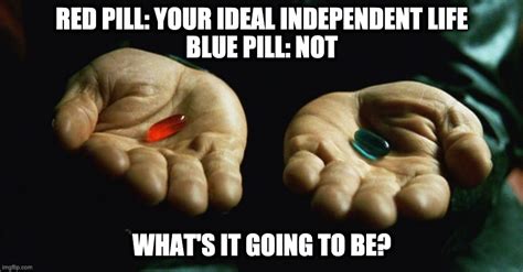 red pill blue pill Memes & GIFs - Imgflip