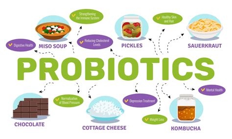 What is the Best Time to Take Probiotics? - HealthxTips