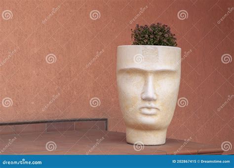 Flower Pot Head Made of Ceramic. Planter Head Vase Stock Image - Image of artistic, color: 202867415