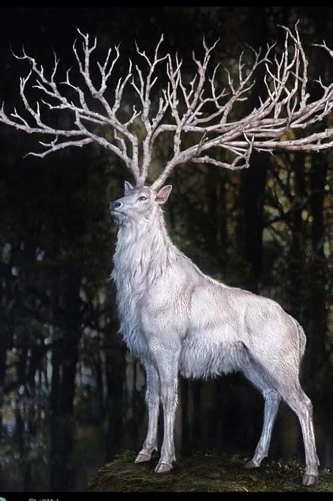 Meeting an Elk in the Dark | Mythical creatures, Mythological creatures ...