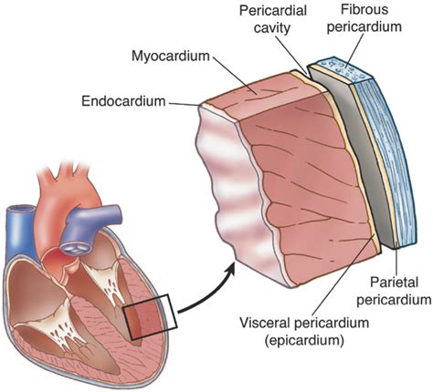 Layers Of Heart