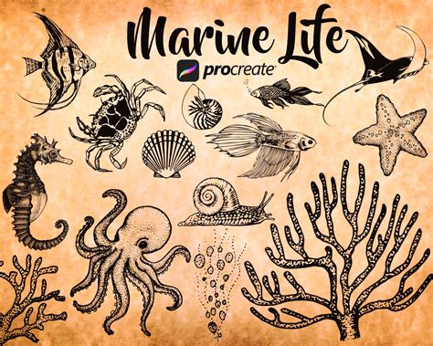 Top more than 62 ocean animal tattoos - in.cdgdbentre