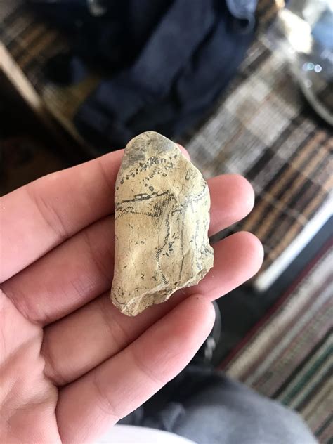 Found in southern New Mexico USA : r/whatsthisrock