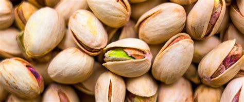 Pistachio Yield | Artificial pollination for pistachios in California