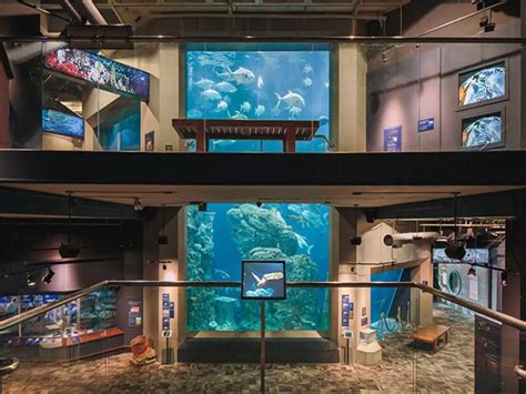 South Carolina Aquarium (2022) | Admission, Hours, Photos & Events