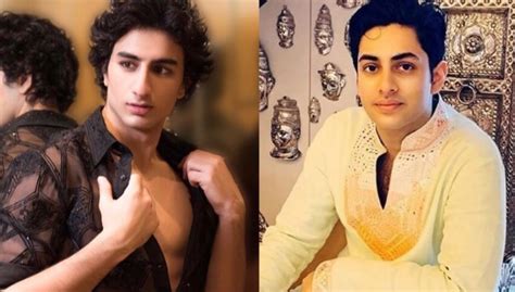 Ibrahim Ali Khan to Agastya Nanda, Actors who are gearing up to make ...