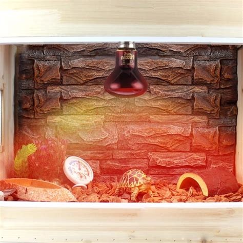 Pet Reptile Heating Lamp Day Night Amphibian Bird Snake Basking Sun Lamp Heat Reptile Light Bulb ...