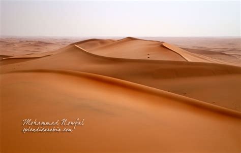 Deserts of Saudi Arabia - Splendid Arabia