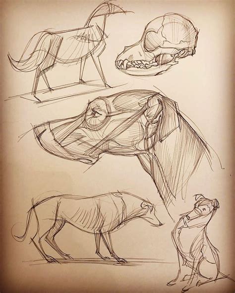 Another page of animal anatomy studies. From Michael D. Matessi's book Force Animal Drawing and ...