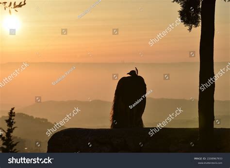 Jerusalem Israel Mount Olive Sunrise Stock Photo 2208967933 | Shutterstock