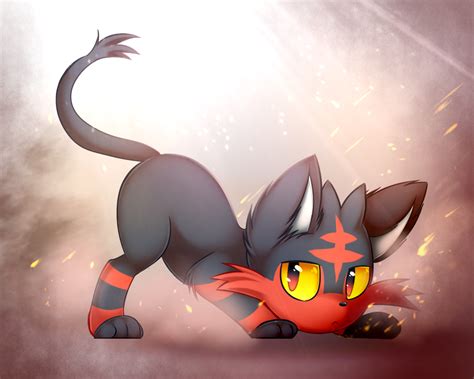 Litten - Litten is Lit Fan Art (40333185) - Fanpop