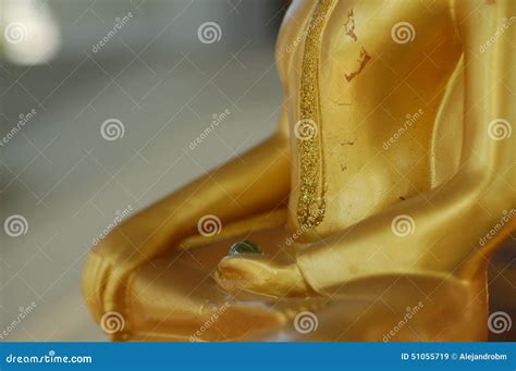 Peace, Elegance and Serenity Stock Image - Image of deep, gesture: 51055719